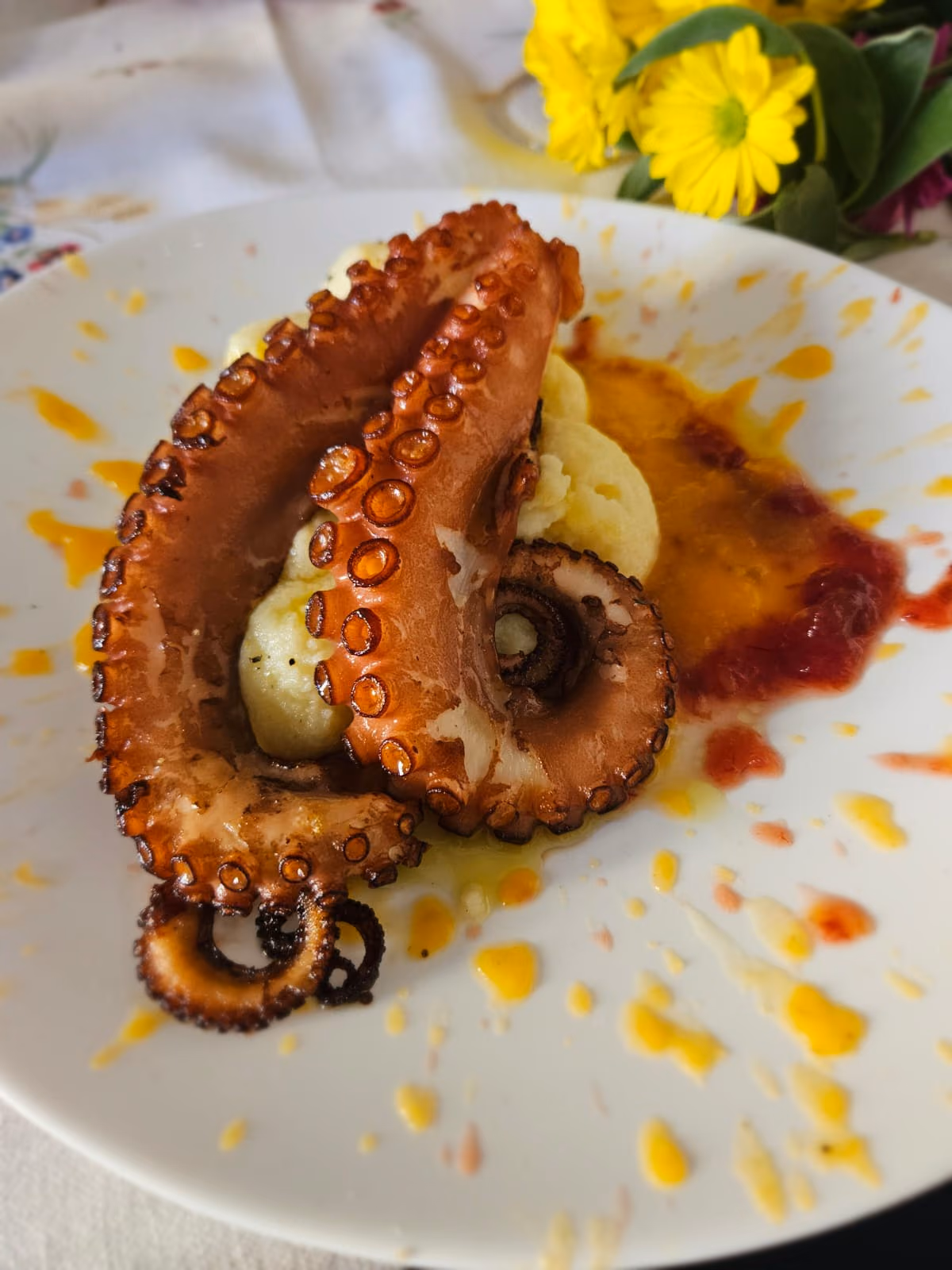 Grilled octopus tentacle on potato cream with pepper sauce